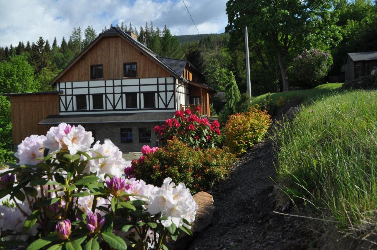 Pod Gwiazdami Apartamento Świeradów-Zdrój Exterior foto